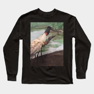 Intriguing Storks Long Sleeve T-Shirt